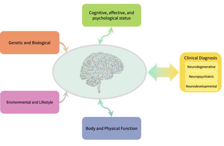Brain World Model