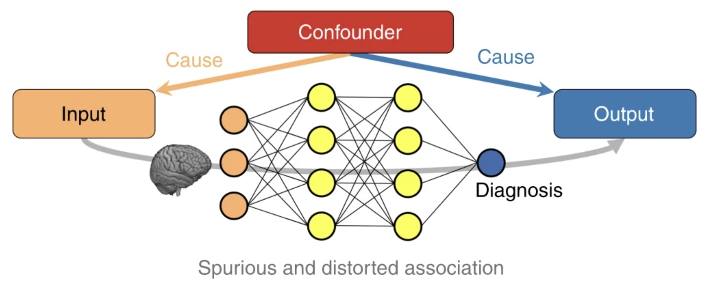 Confounders in Medical Studies